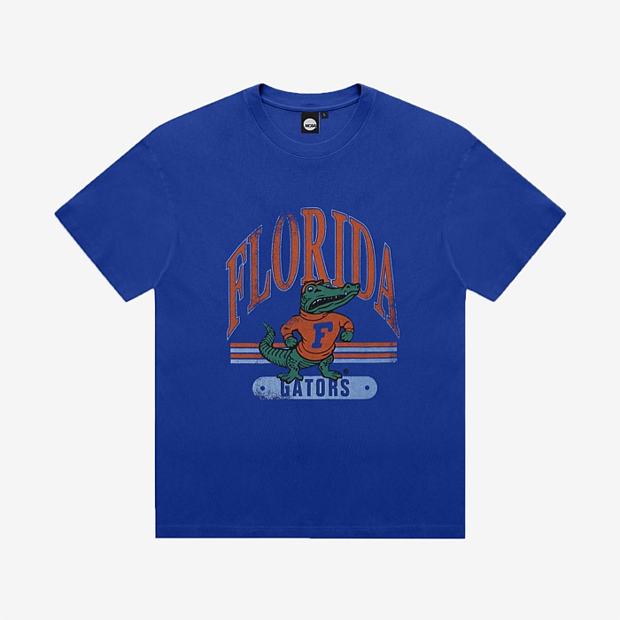 Florida Gators Vintage Arch T-Shirt Unisex