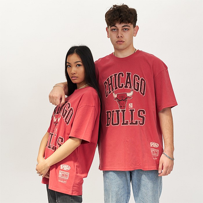 Chicago Bulls Vintage HWC Ivy Arch T-Shirt Unisex