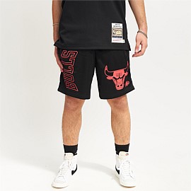 Chicago Bulls Big Wordmark Mesh Shorts